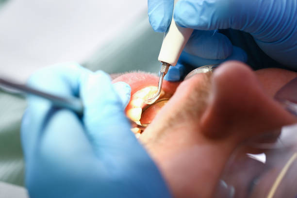 Best Emergency Orthodontic Repairs in Beecher, IL